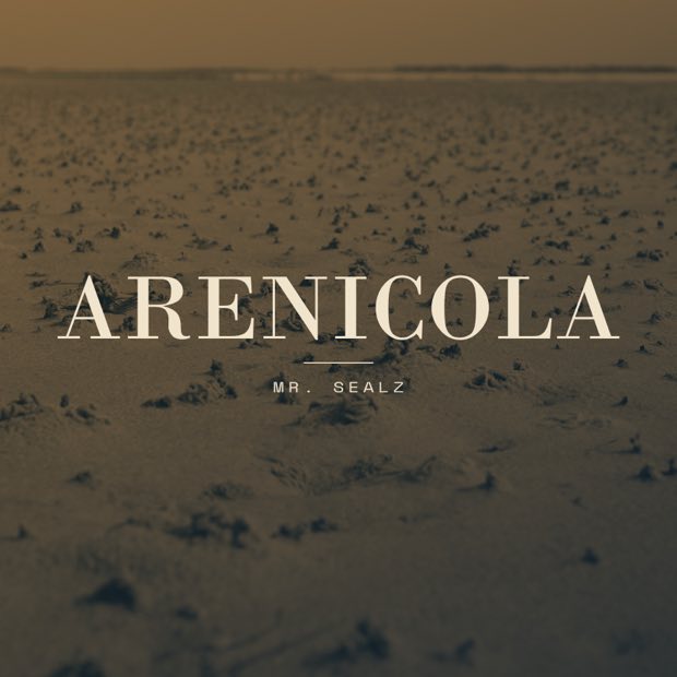 Cover art: Arenicola — the tidal flats in sepia.